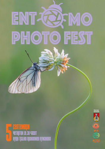 Entomo-Photo-Fest 2024 - Catalog